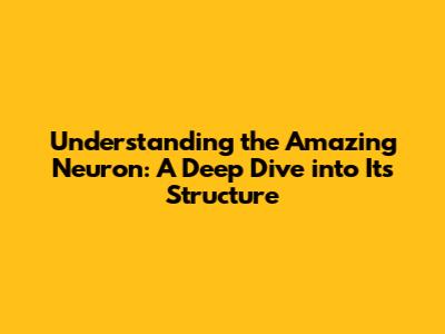 Understanding the Amazing Neuron: A Deep Dive into Its Structure