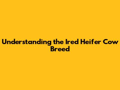 Understanding the Ired Heifer Cow Breed