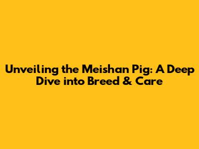 Unveiling the Meishan Pig: A Deep Dive into Breed & Care