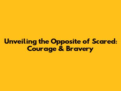 Unveiling the Opposite of Scared: Courage & Bravery