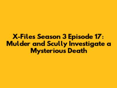 X-Files Season 3 Episode 17: Mulder and Scully Investigate a Mysterious Death