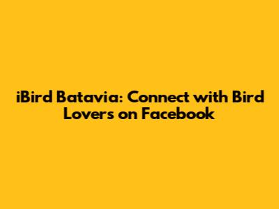iBird Batavia: Connect with Bird Lovers on Facebook