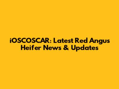 iOSCOSCAR: Latest Red Angus Heifer News & Updates